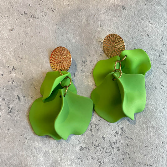 AROS AMPARO VERDE